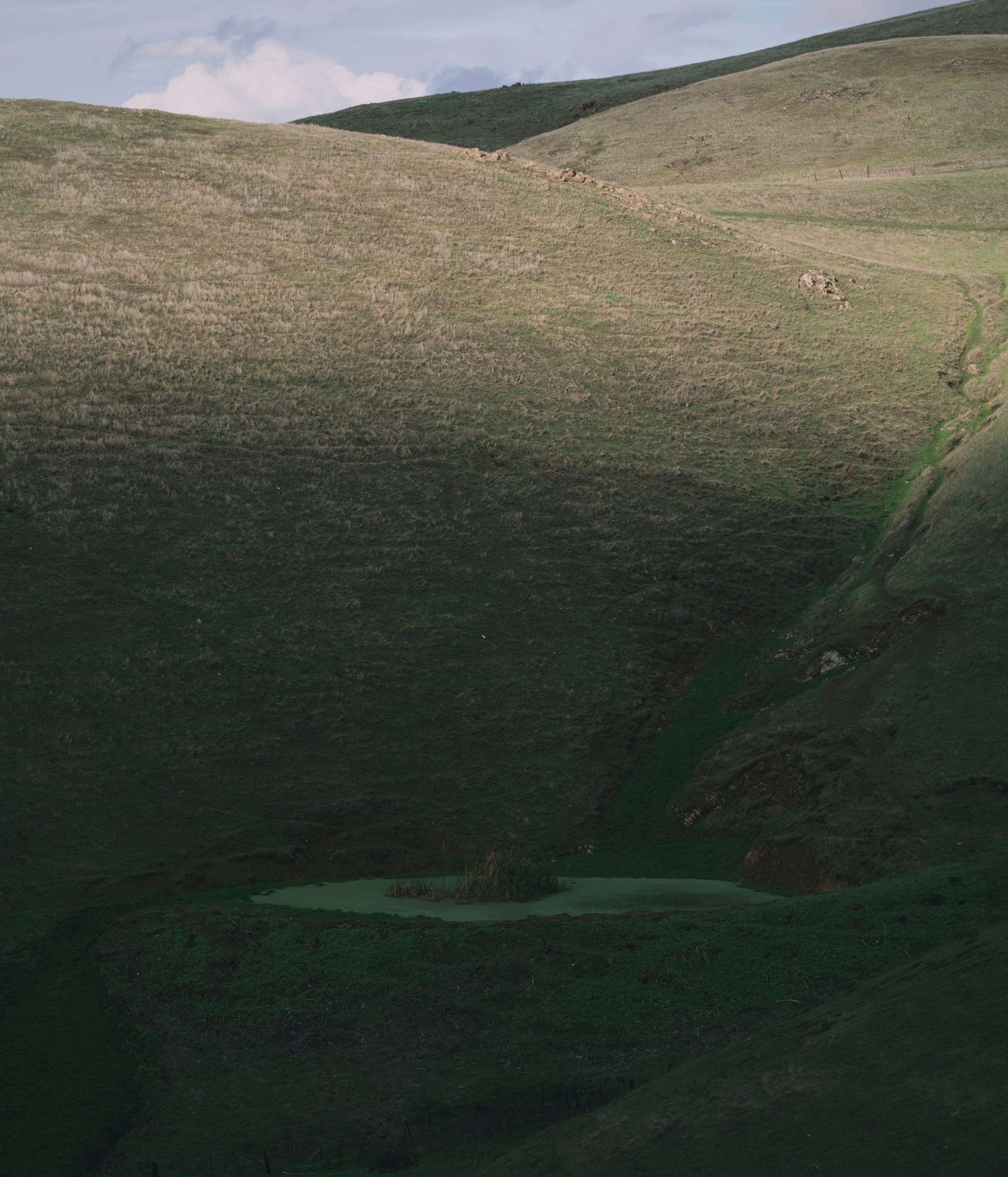 Rolling green hills with a small pond, representing the Southern Highlands countryside